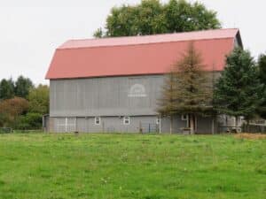 Barn re roof with Barn Red roofing_Palmyra, NY